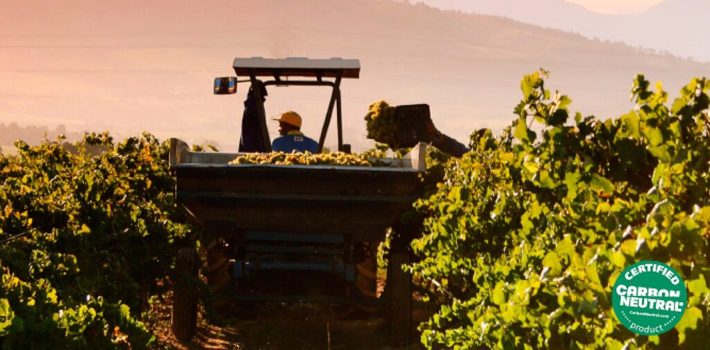 Klimatcertifierat vin