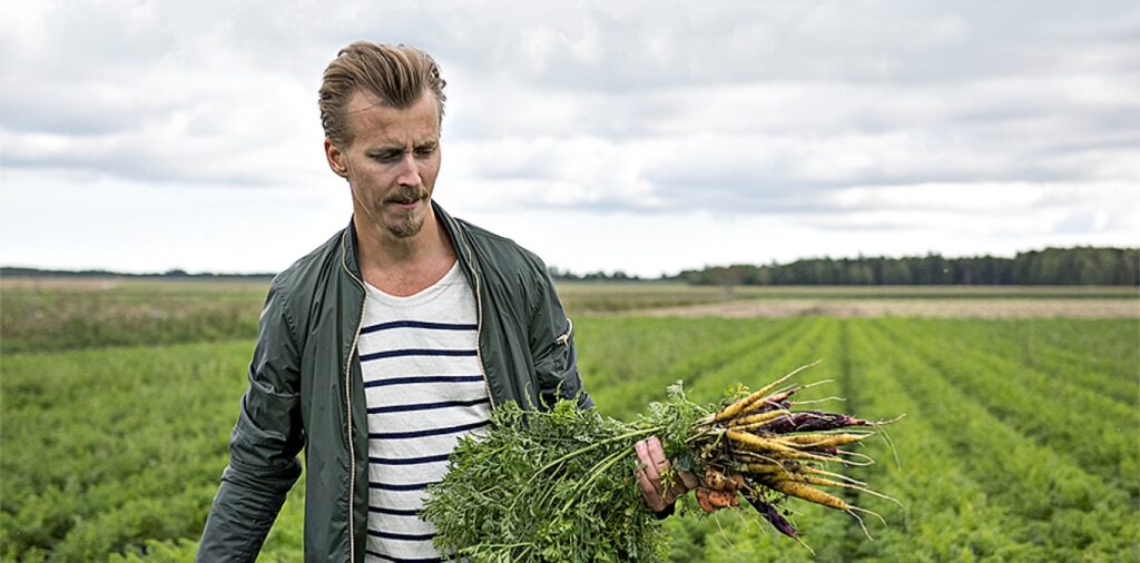 Matkreatör