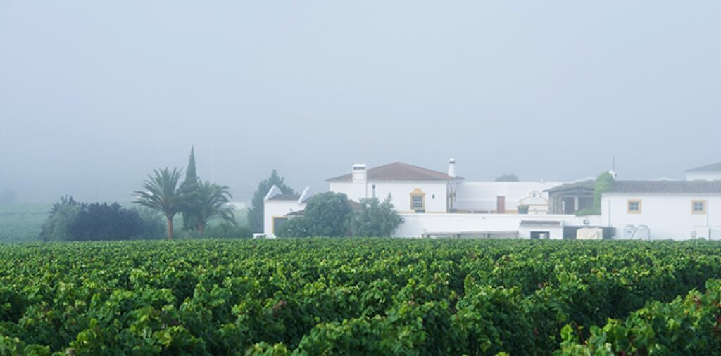 På besök i Alentejo