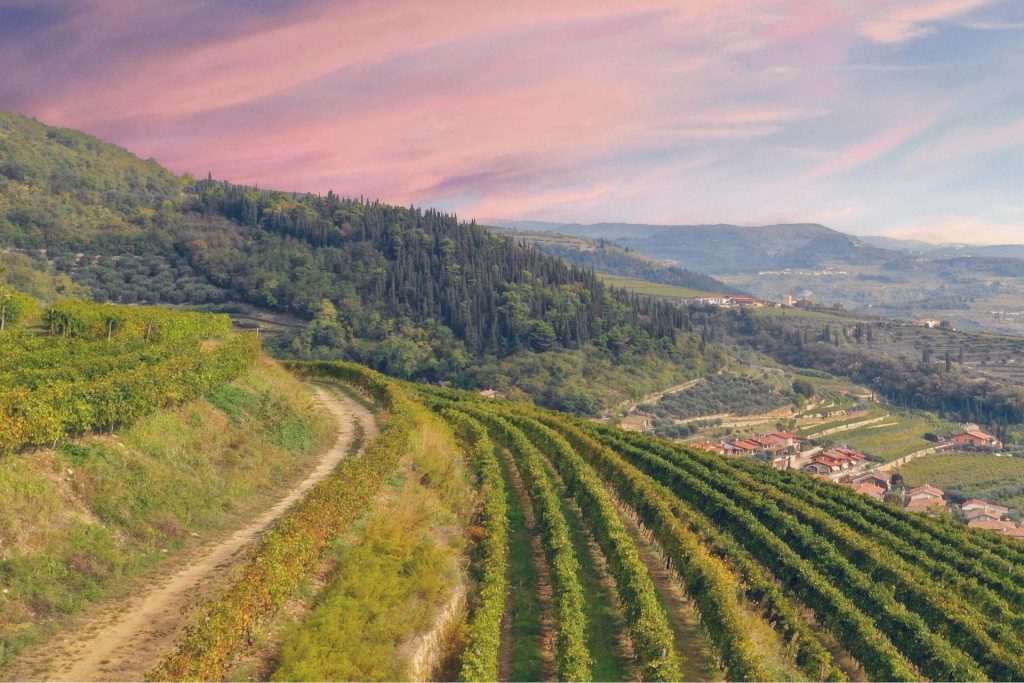 Med hjärtat i Valpolicella