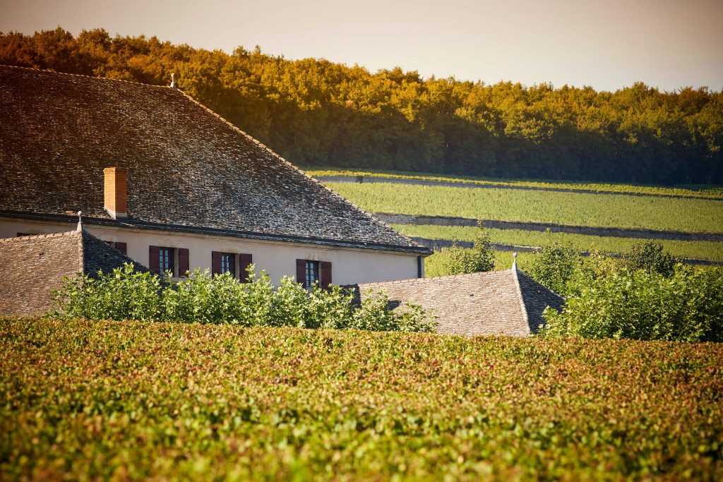 Upptäck Bourgogne med Louis Latour
