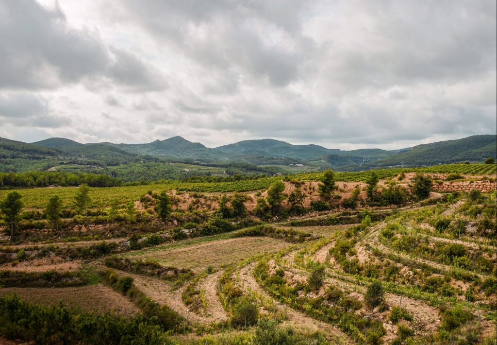 Barcelona Brands – I samspel med naturen