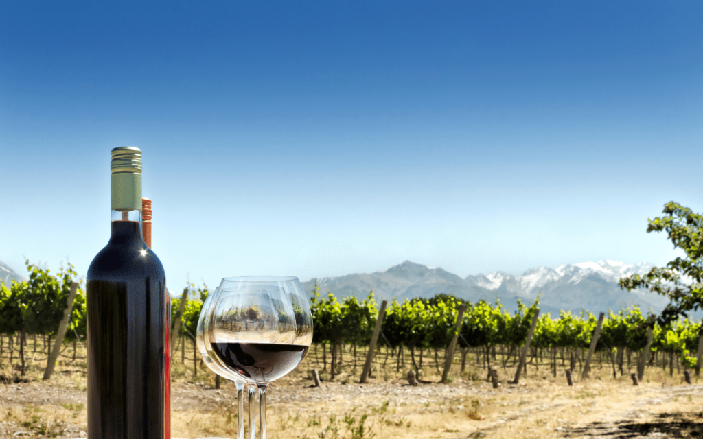 Terroir i vin