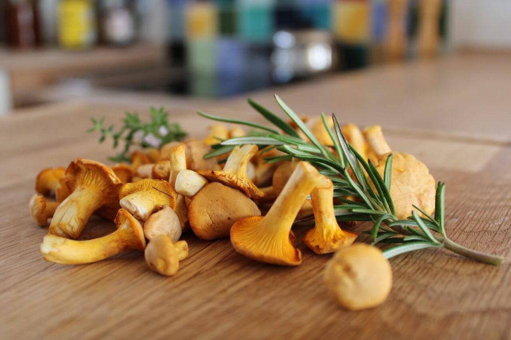 Så väljer du rätt vin till vegetariska recept med kantareller