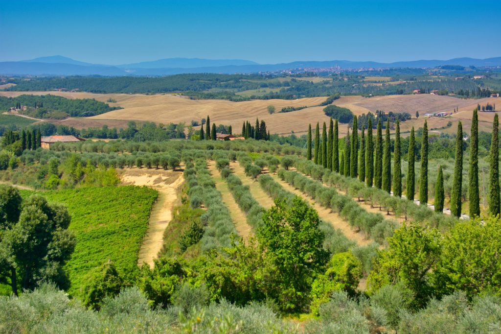 Chianti i Italien – vinälskarnas paradis