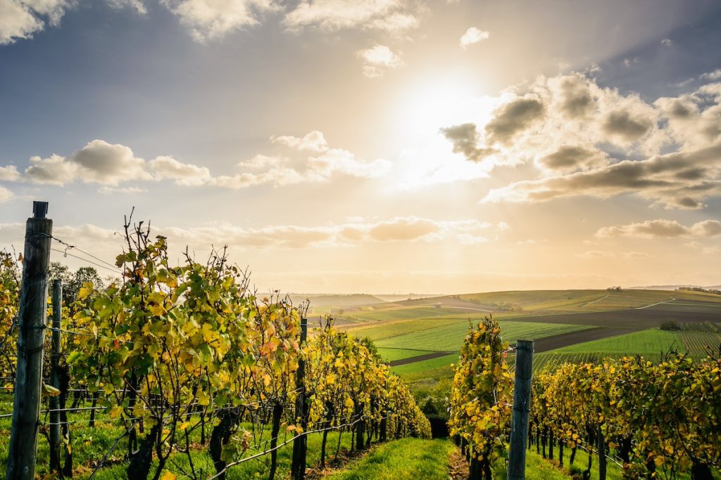 Vindistrikt Italien
