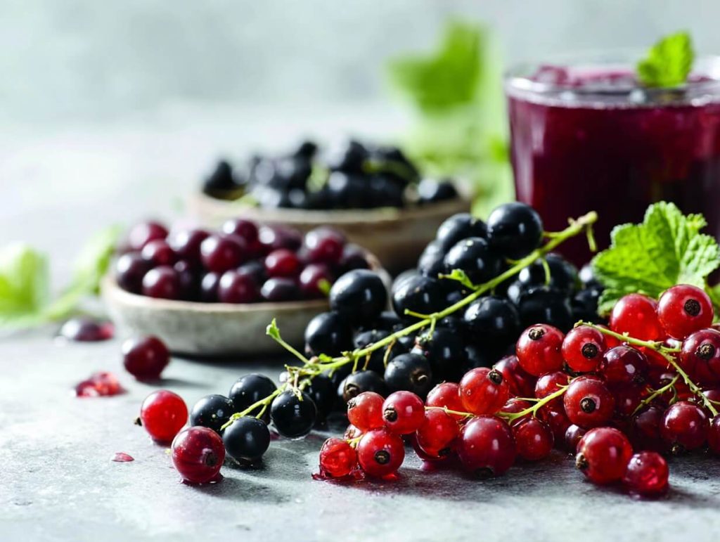 Vinbär – från syrligt sommarplock till smakrik höstfavorit